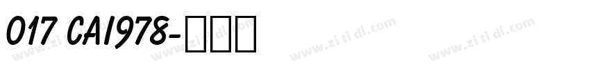 017 CAI978字体转换